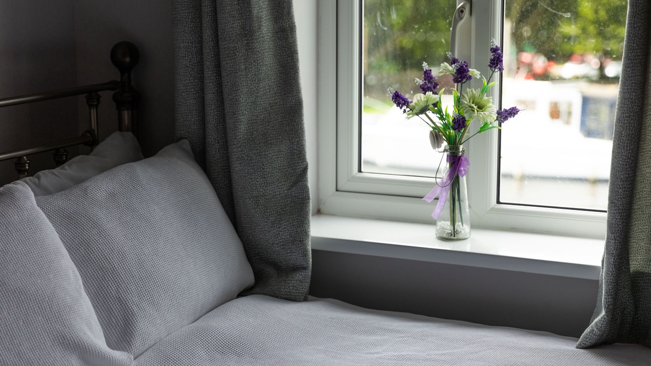 Photo of Others in Stanley