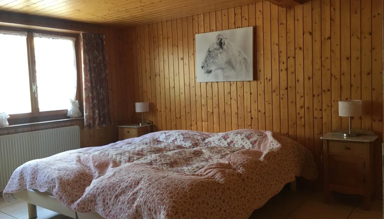 Photo of Others in Adelboden