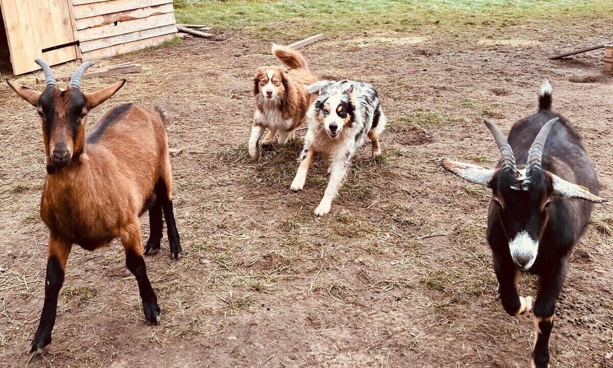 Photo of Outdoor in Mery-sur-Cher