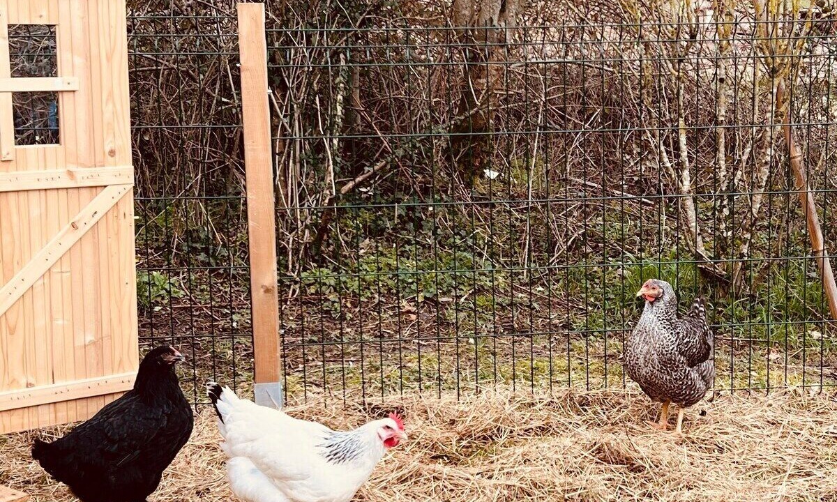 Photo of Outdoor in Mery-sur-Cher