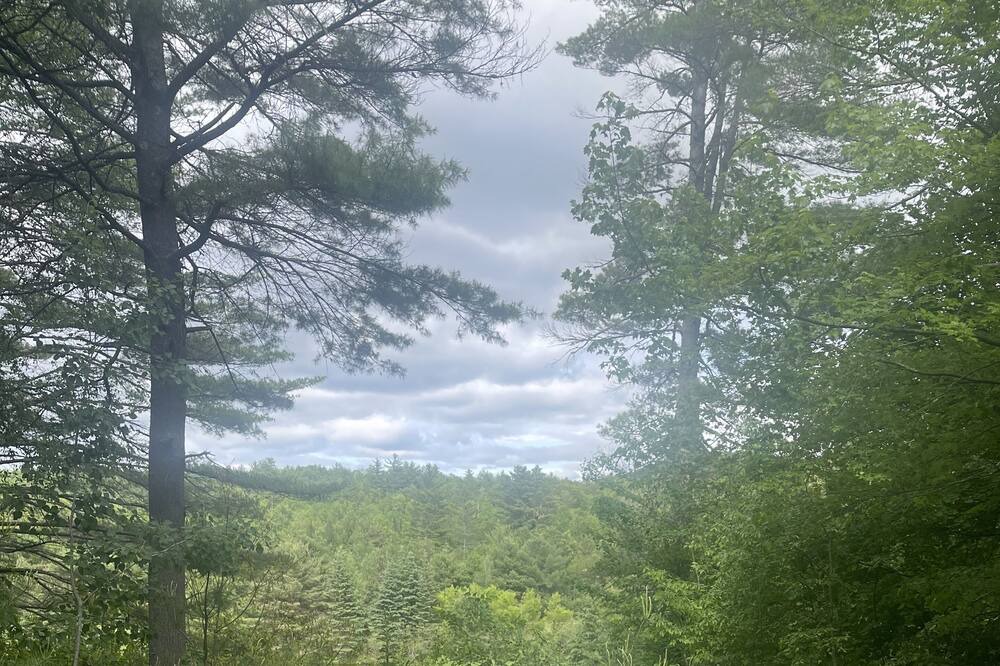 Photo of Others in North Creek
