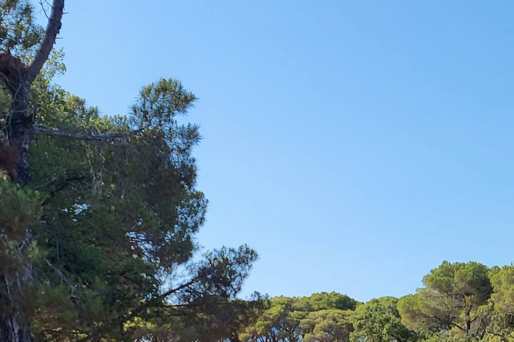 Photo of Outdoor in Canet de Mar