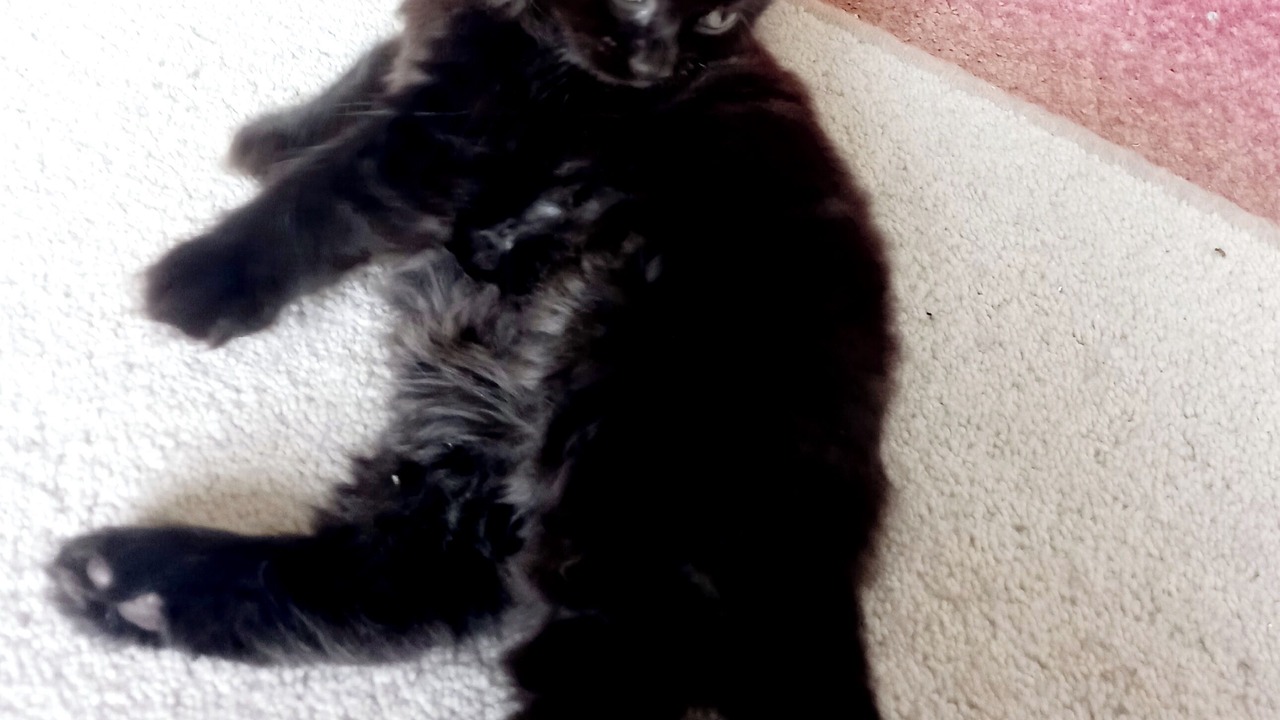 Photo of Others in Axminster