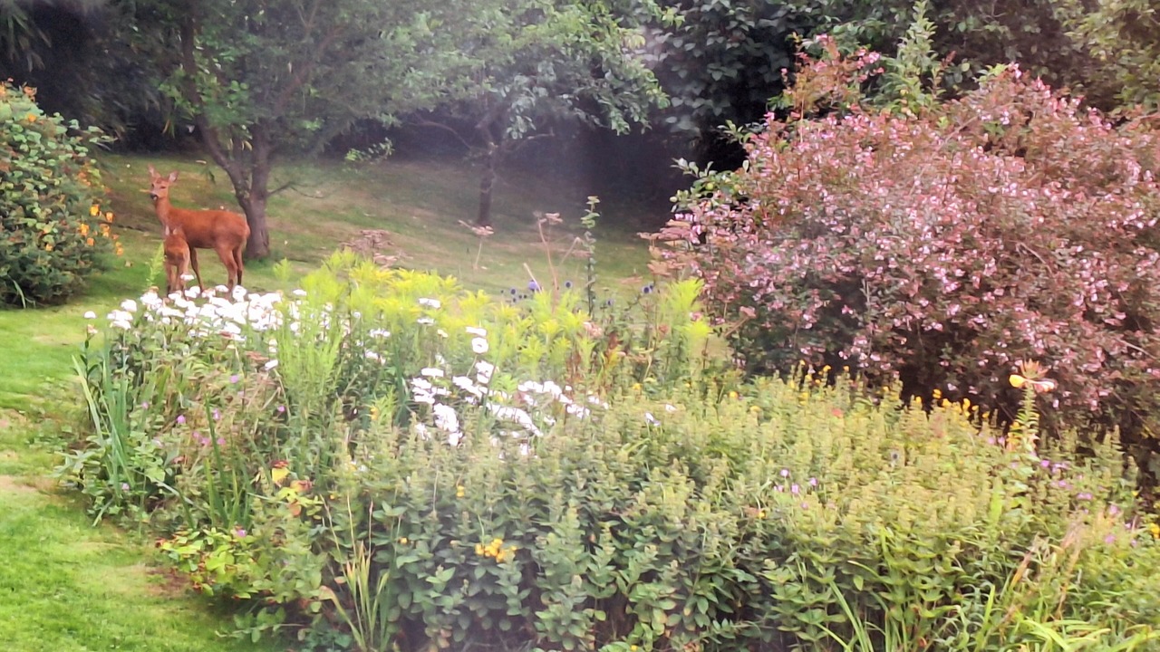 Photo of Others in Axminster