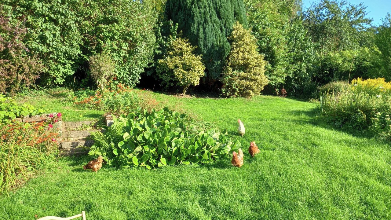 Photo of Outdoor in Axminster