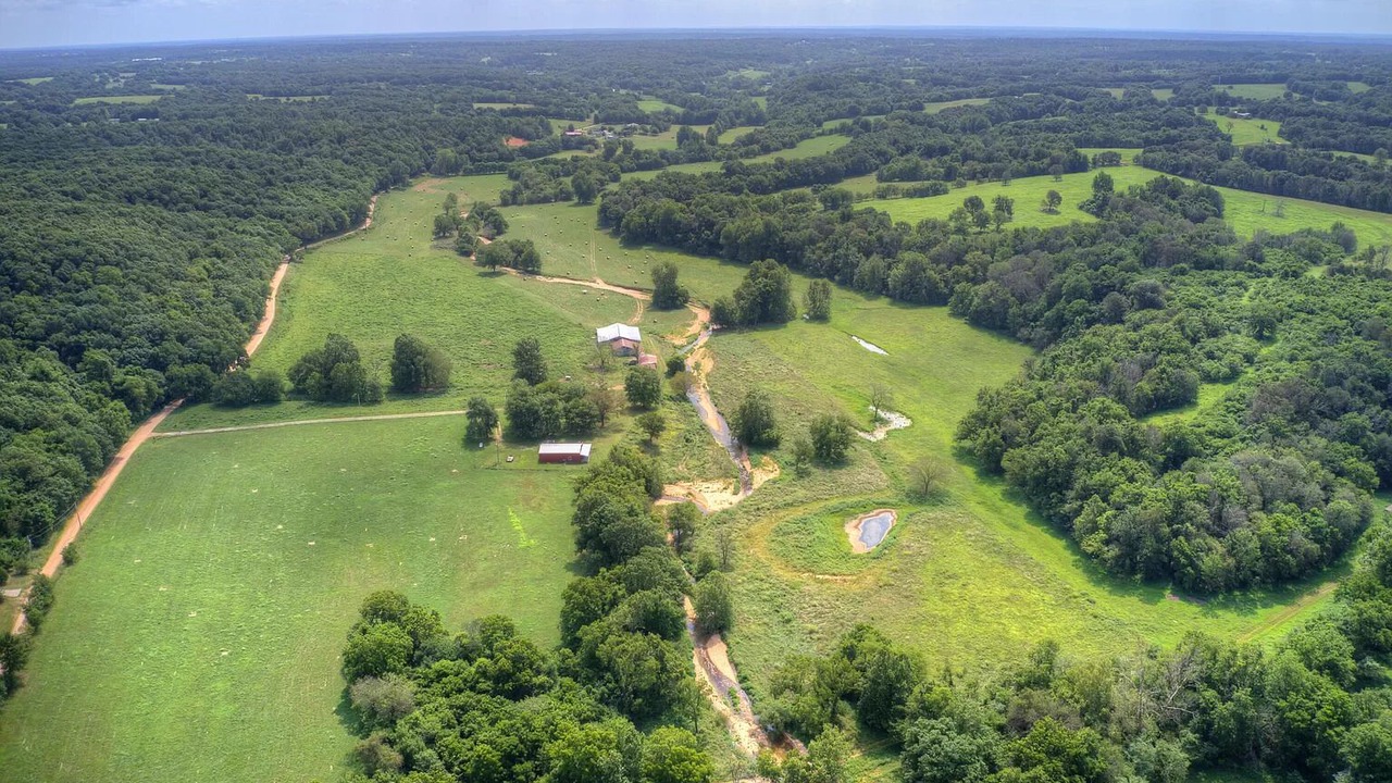 Photo of Others in Anderson