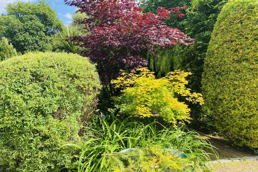 Photo of Outdoor in Hickling