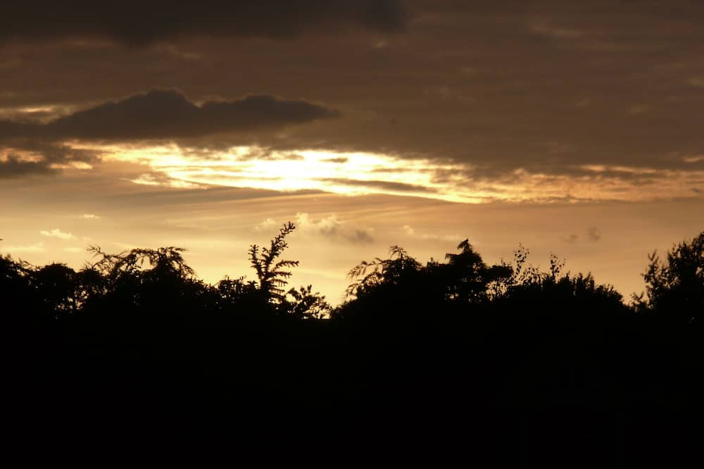 Photo of Others in Hickling