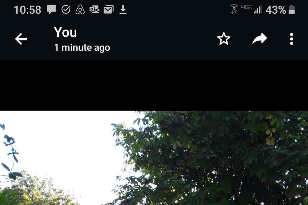 Photo of Outdoor in Sequim