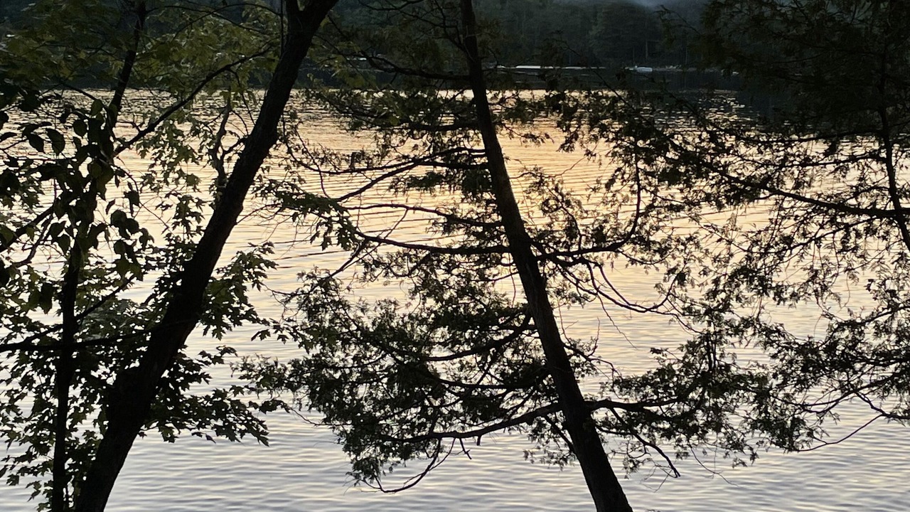 Photo of Others in Algonquin Highlands