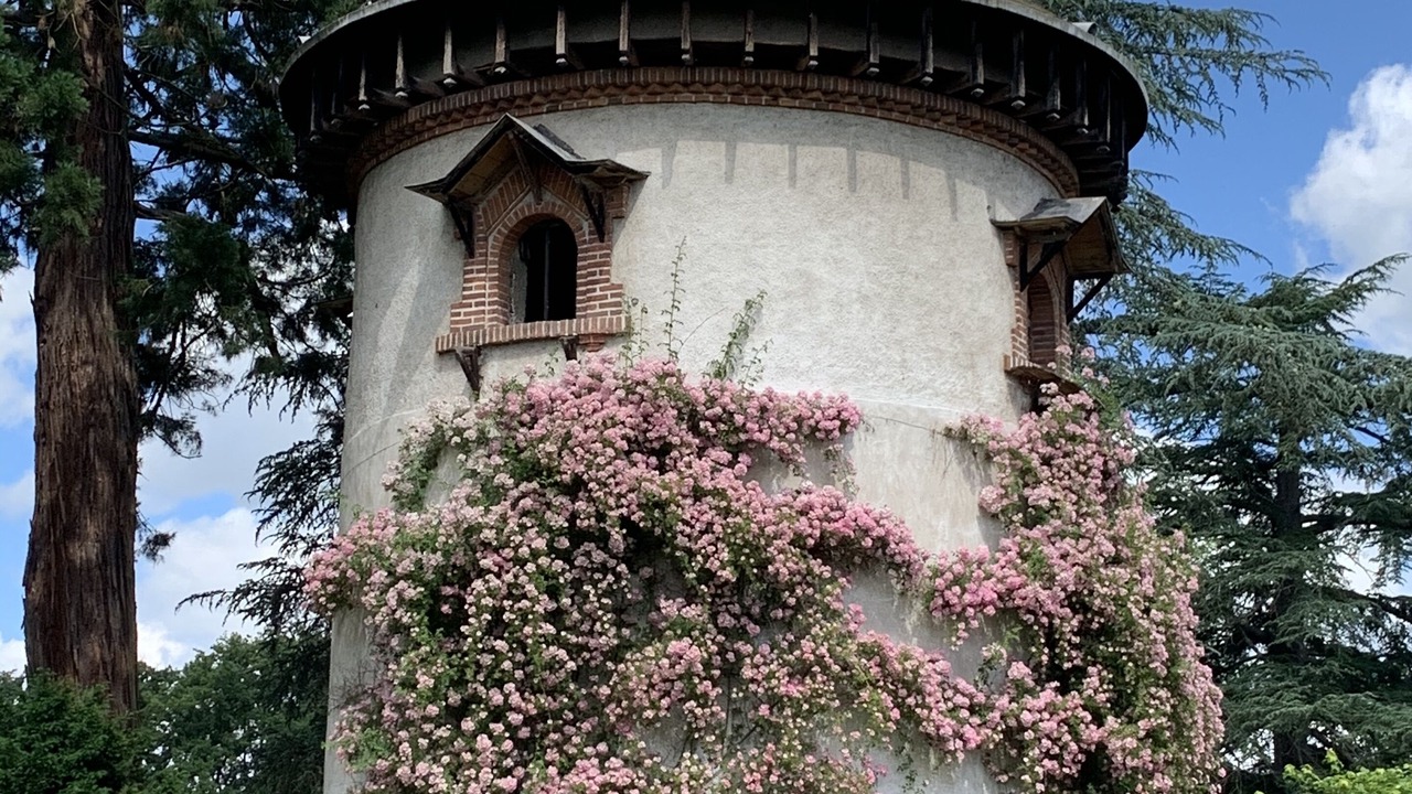 Photo of Outdoor in Cleppe