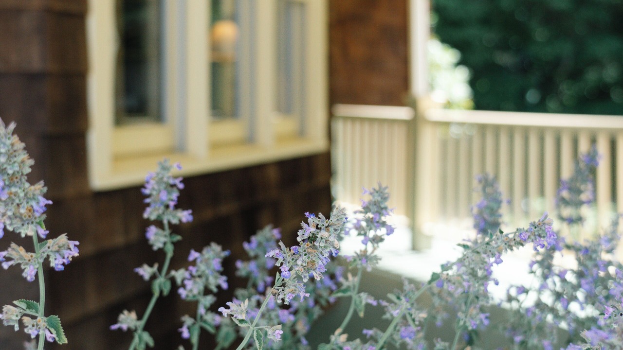 Photo of Outdoor in Wainscott