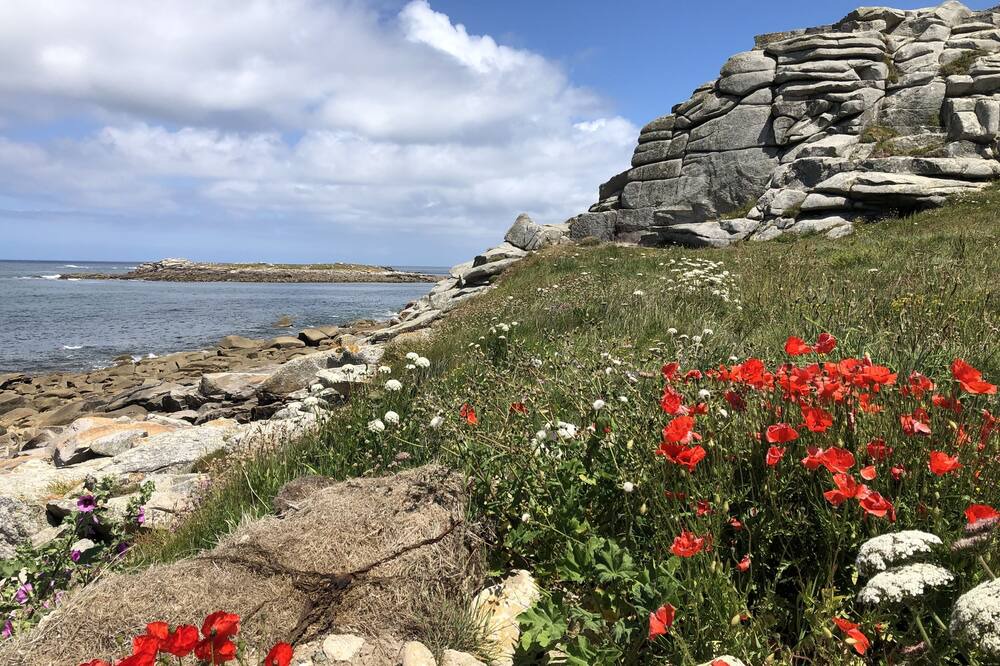 Photo of Others in Plourin-les-Morlaix