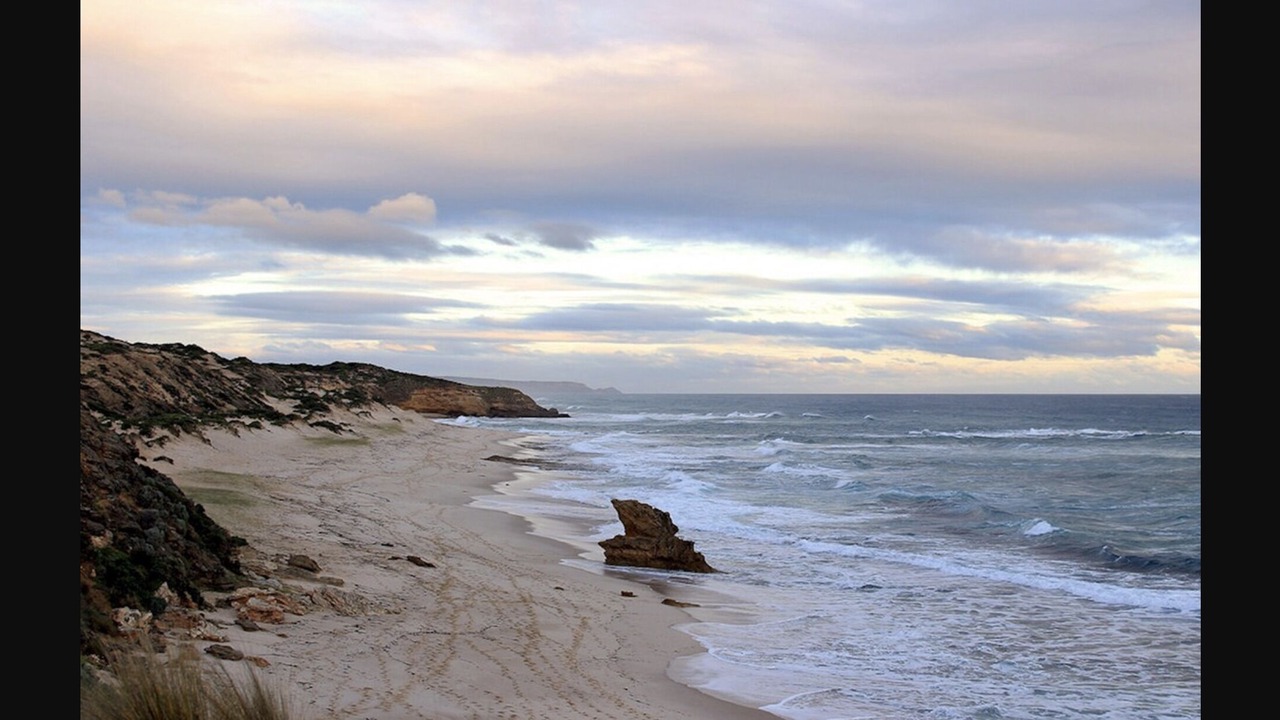 Photo of Others in Dromana