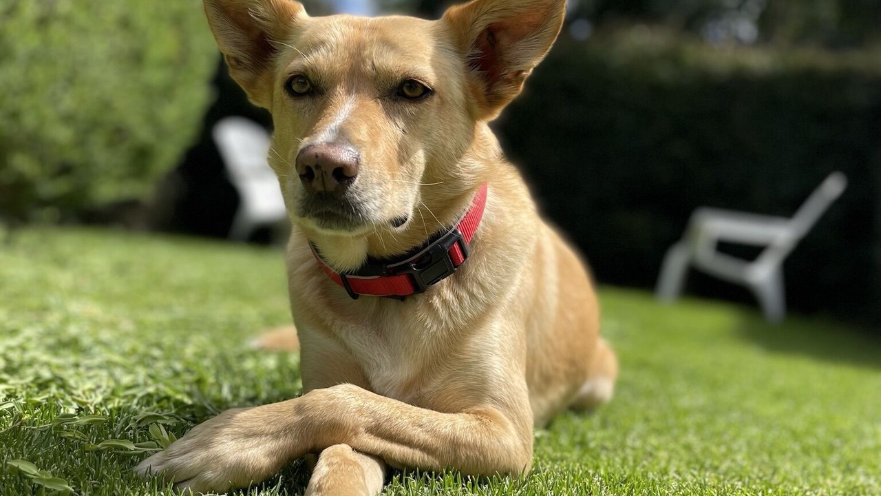 Photo of Others in Mount Eliza