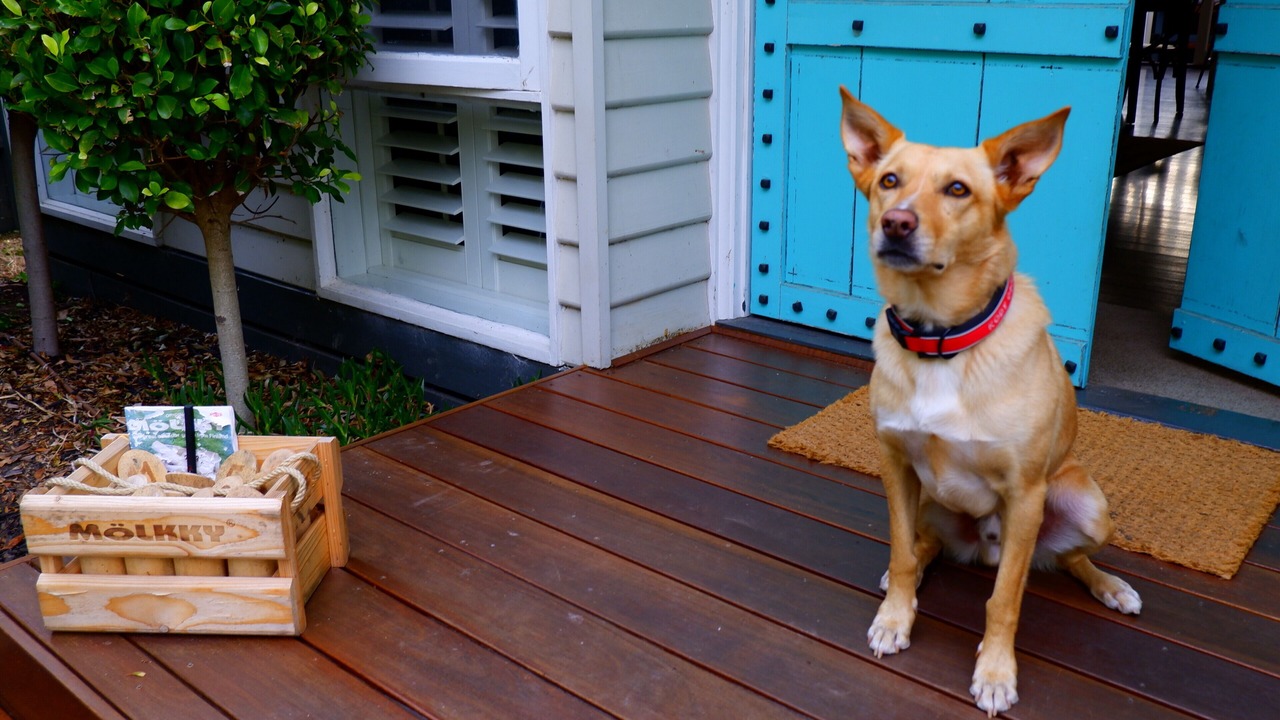 Photo of Outdoor in Mount Eliza