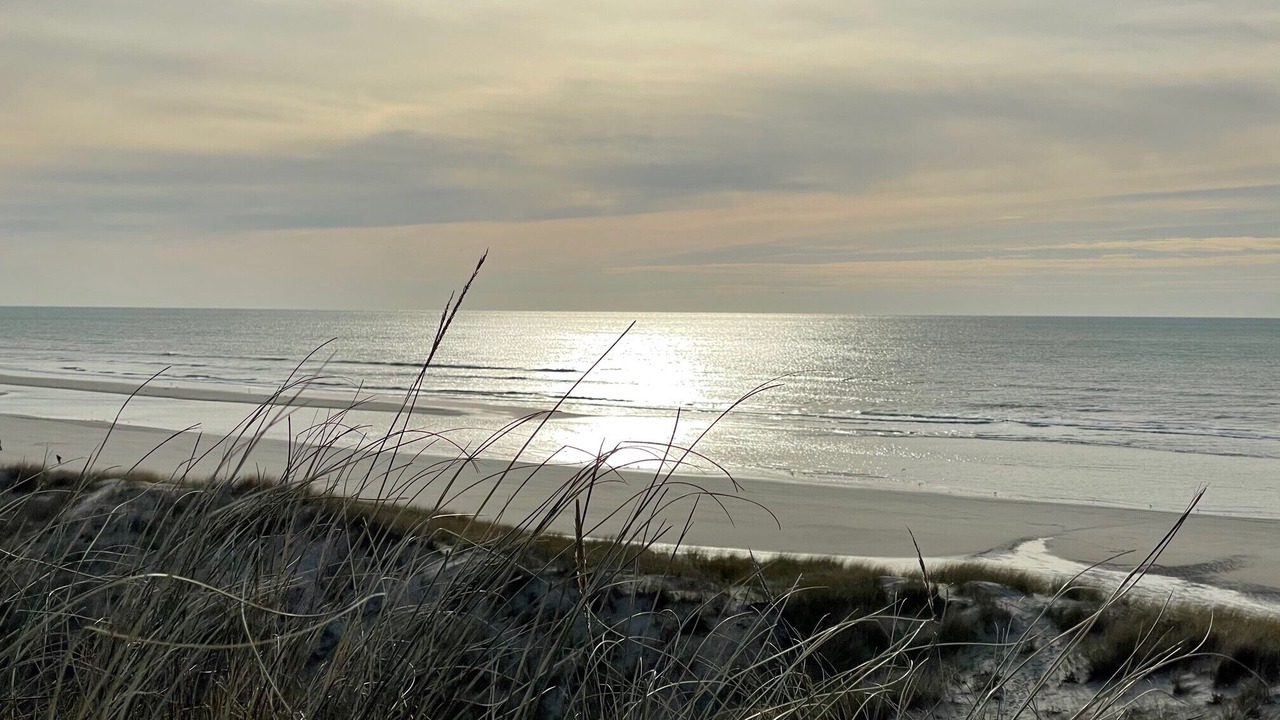 Photo of Others in Hardelot-Plage