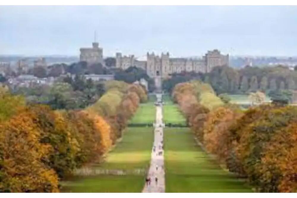 Photo of Others in George Green