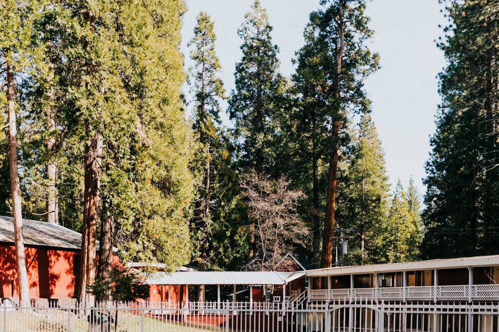 Photo of Outdoor in Long Barn