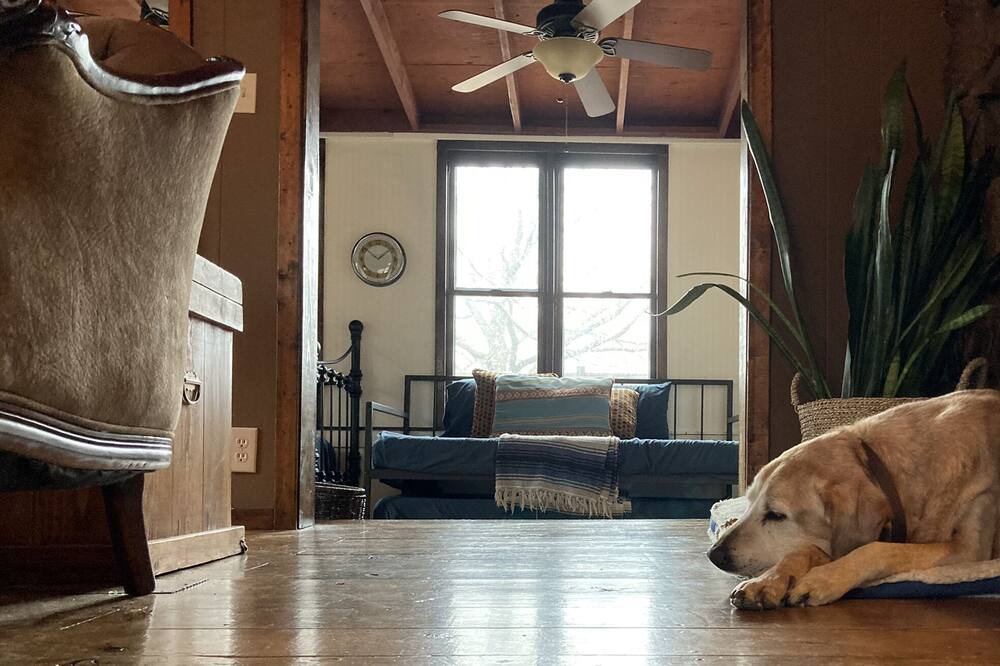 Photo of Livingroom in Hulbert