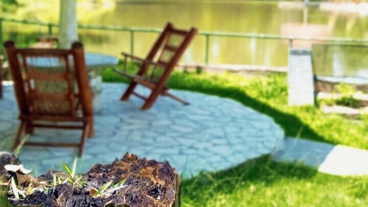 Photo of Outdoor in Sabana Grande De Boya