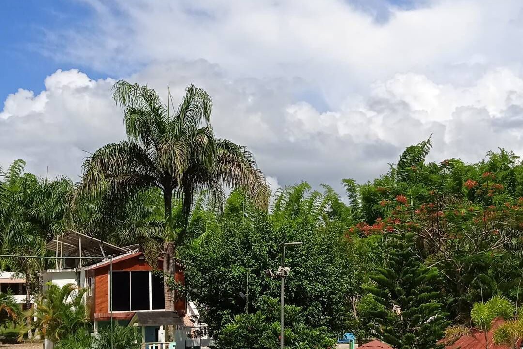 Photo of Outdoor in Sabana Grande De Boya