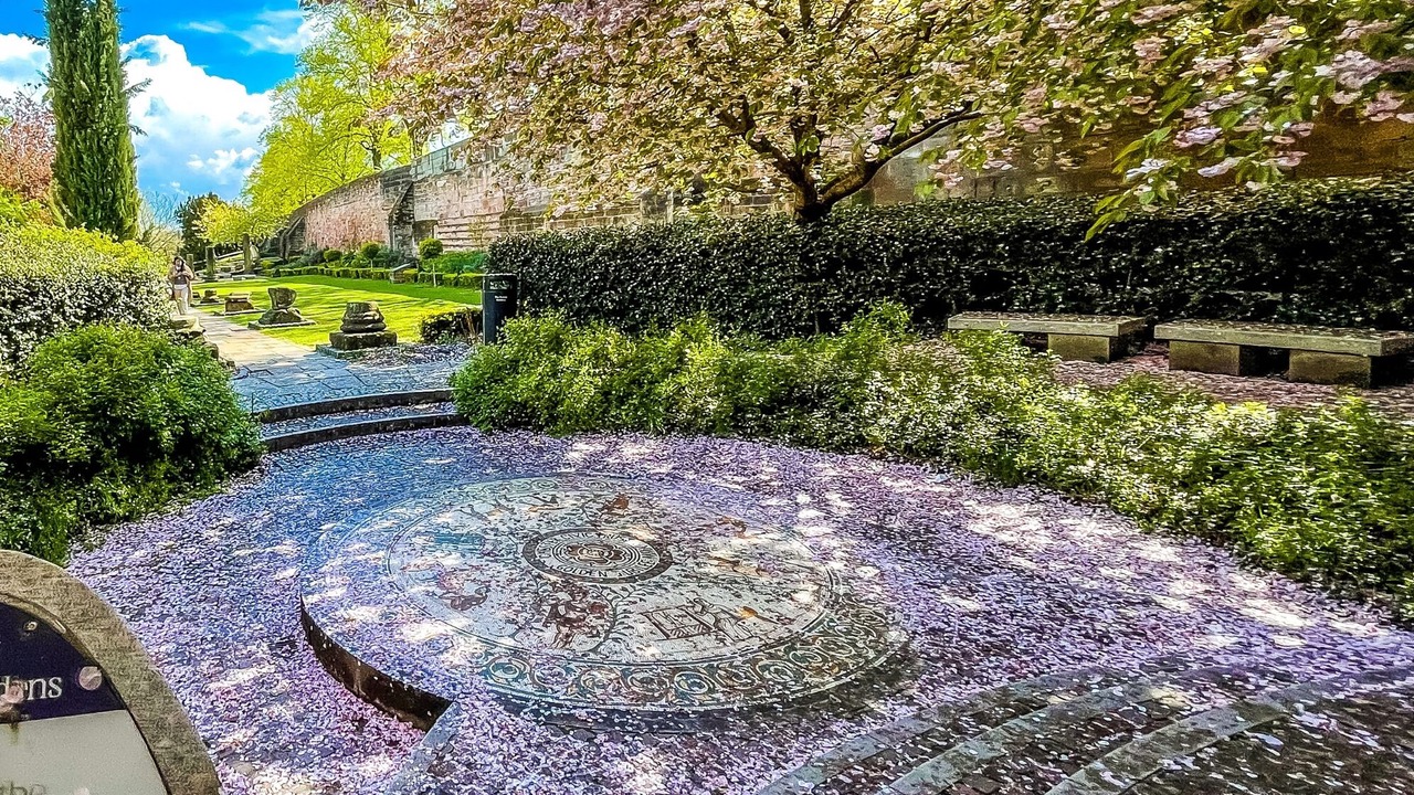 Photo of Others in Chester