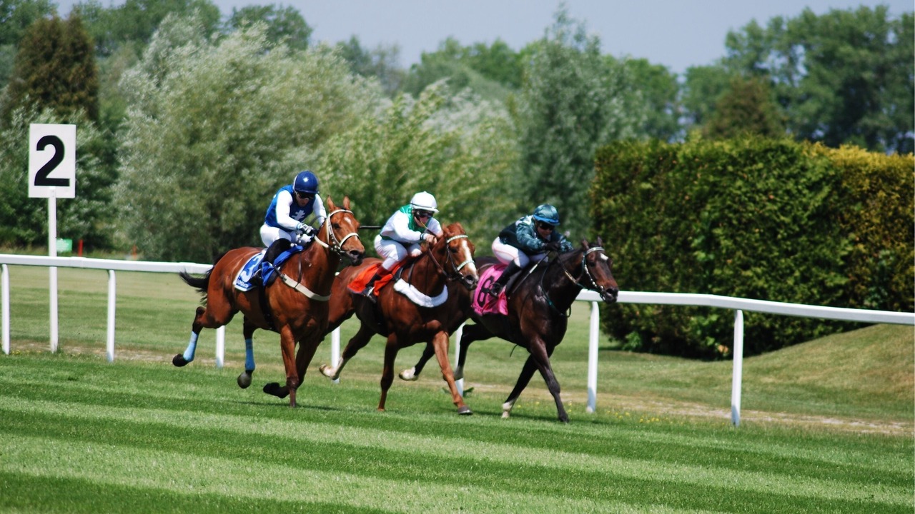 Photo of Others in Chester