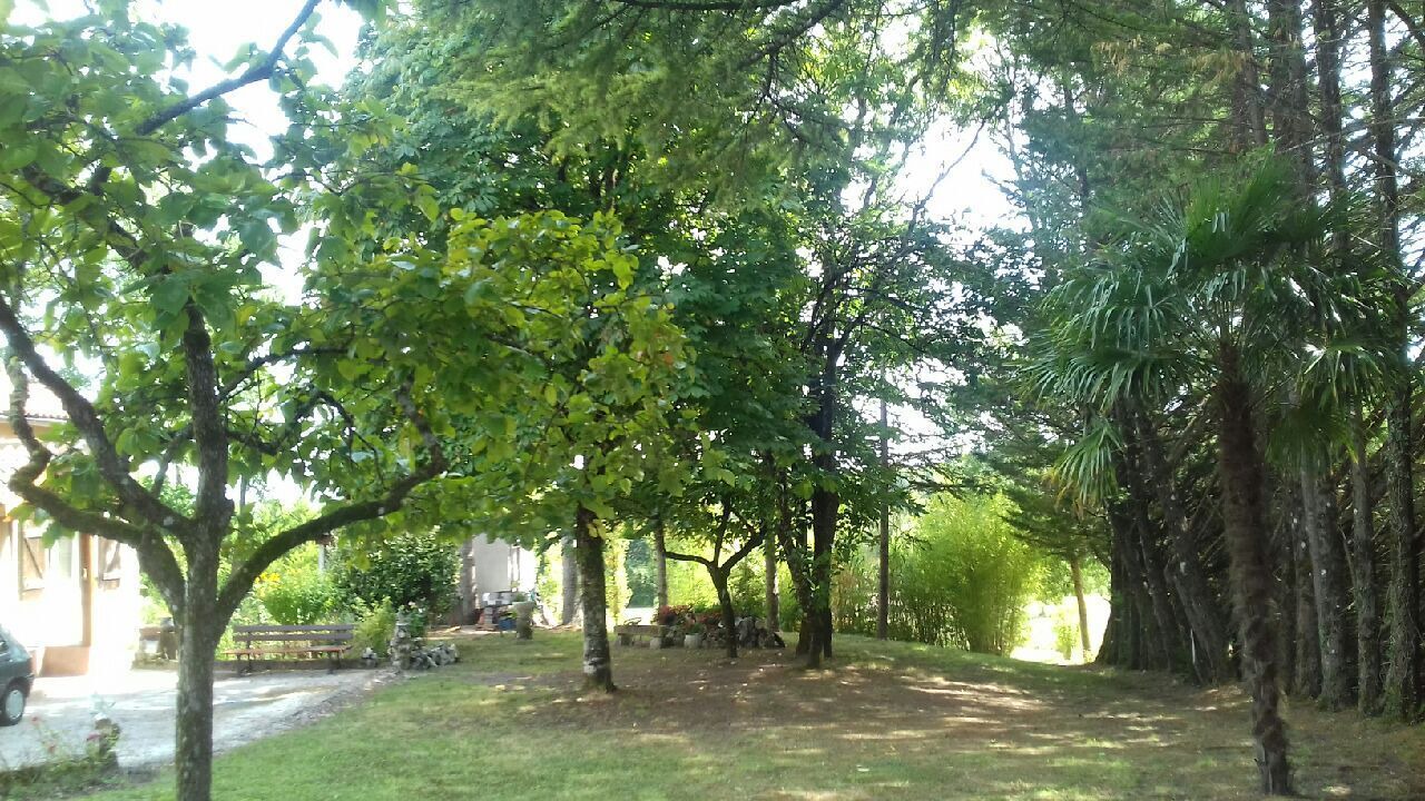 Photo of Outdoor in Castelnau-Montratier-Sainte-Alauzie