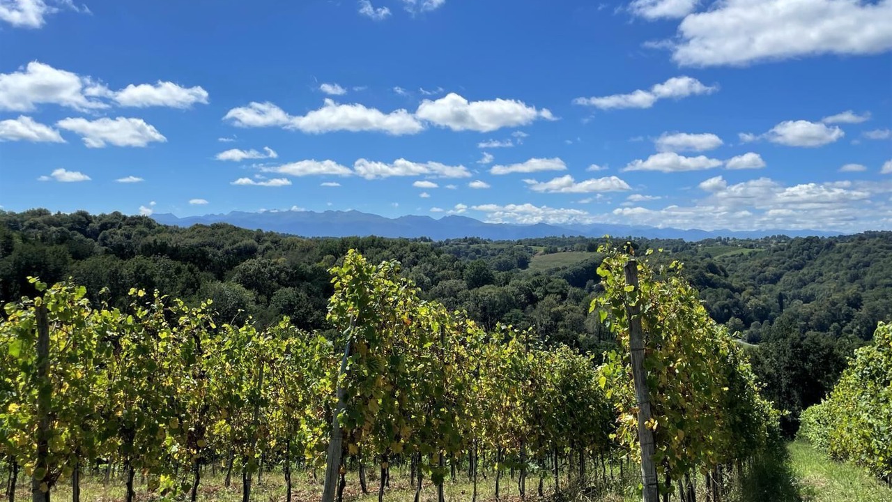 Photo of Outdoor in Laroin