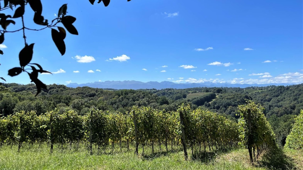 Photo of Outdoor in Laroin