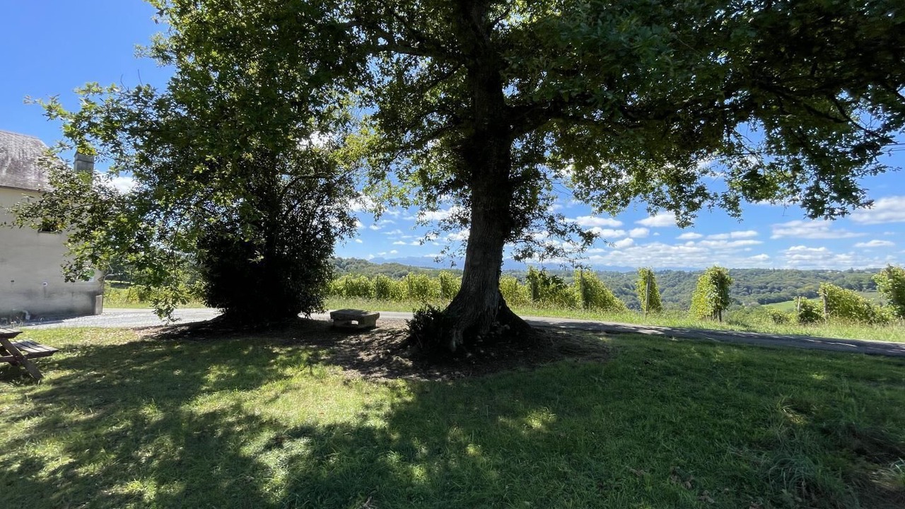 Photo of Outdoor in Laroin