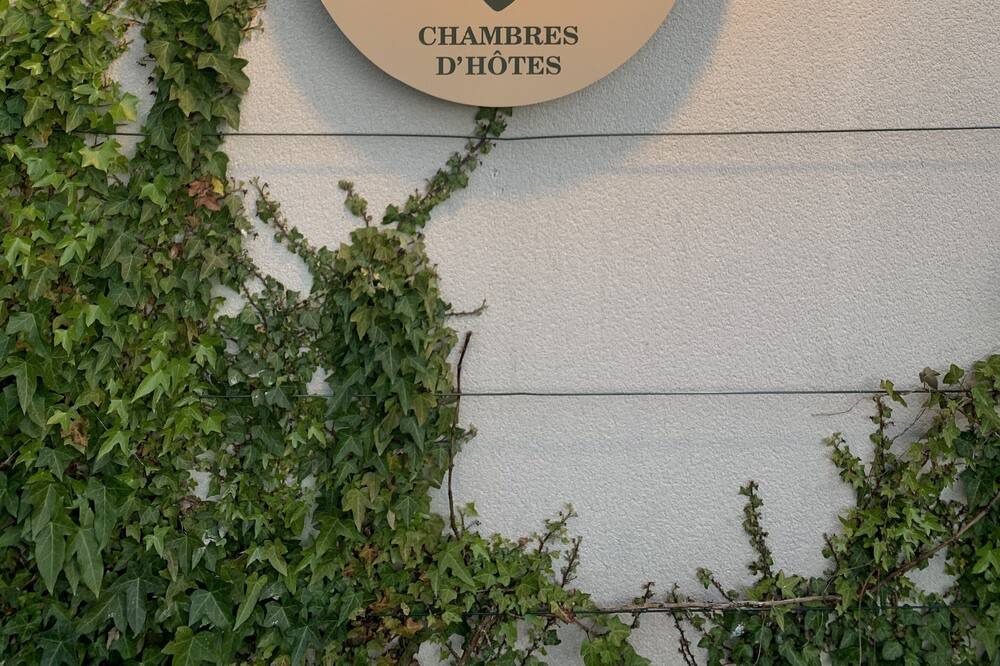 Photo of Outdoor in Saint-Martin-en-Biere