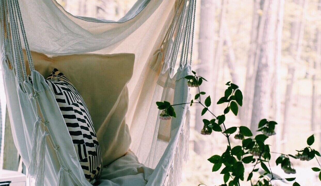 Photo of Others in Woodstock