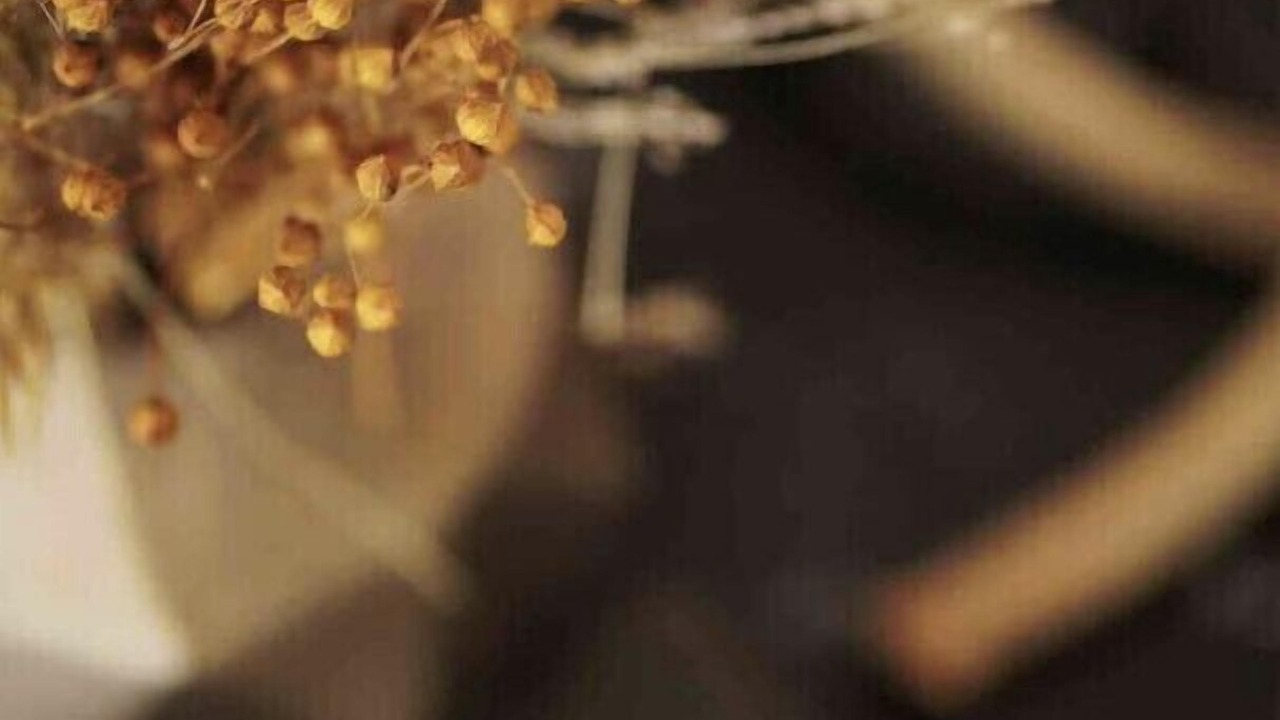 Photo of Others in Woodstock