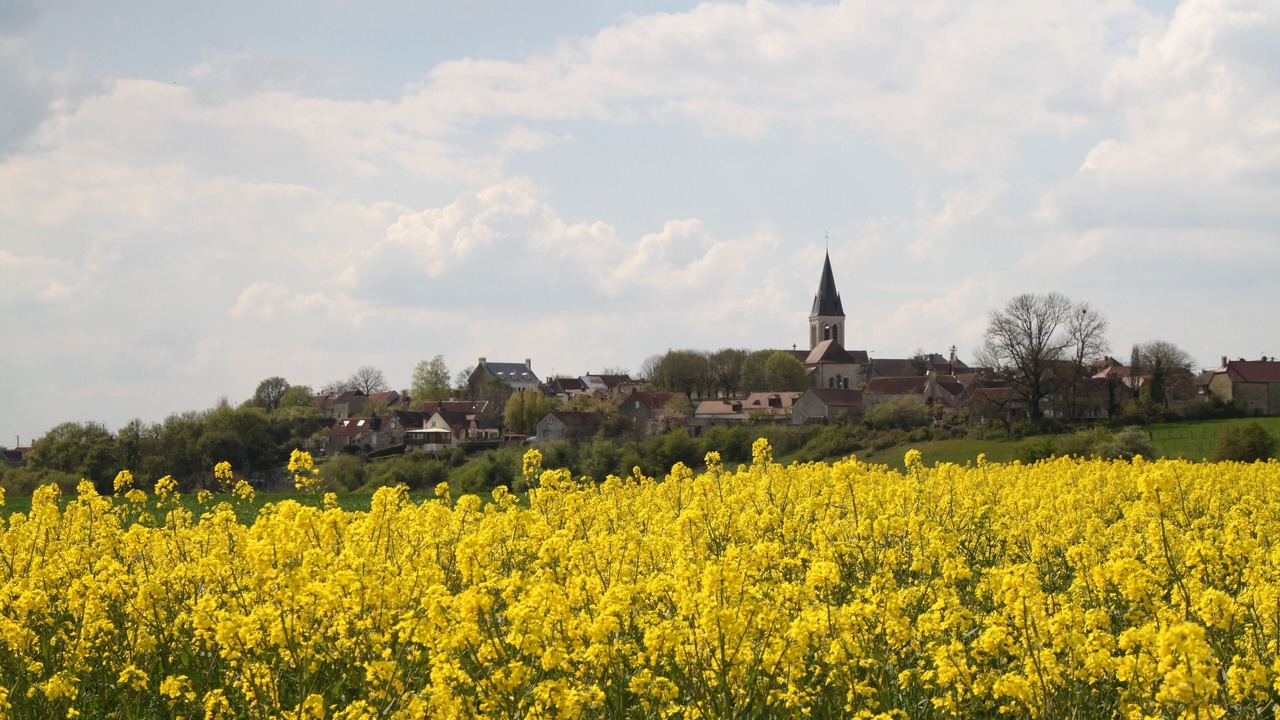 Photo of Outdoor in Villon