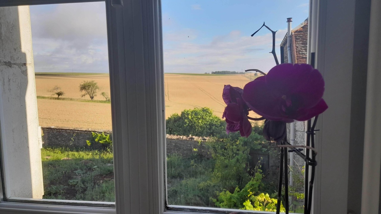 Photo of Others in Villon