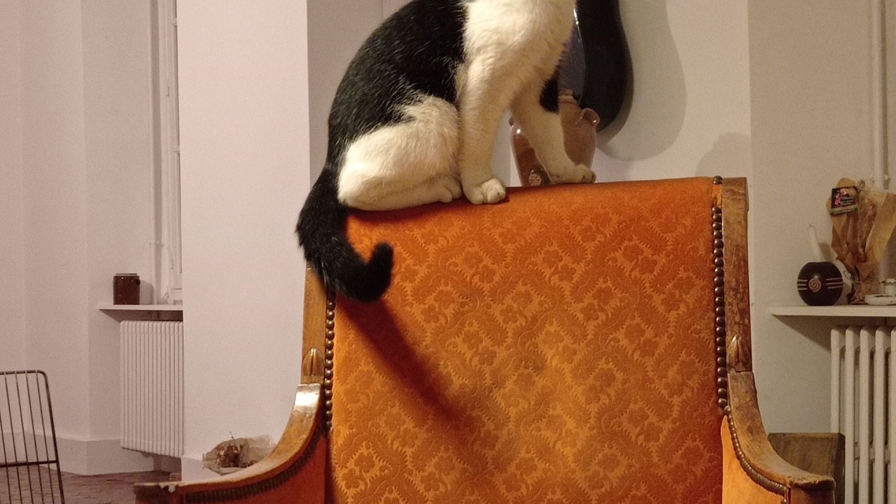 Photo of Others in Villon