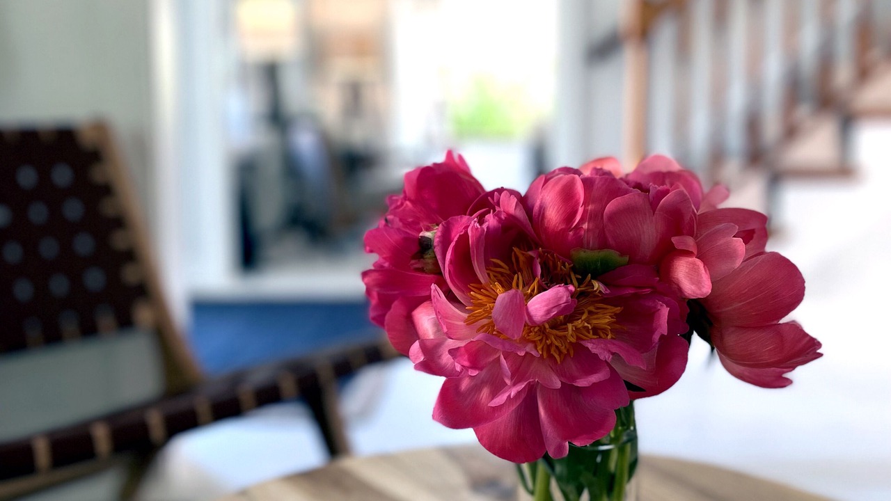 Photo of Others in Brant Point