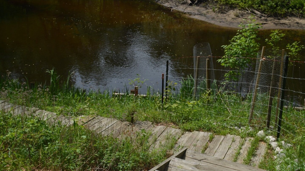 Photo of Outdoor in Roscommon