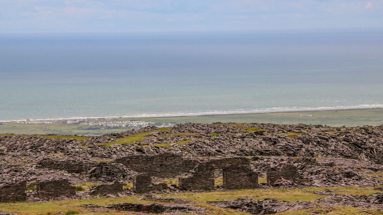 Photo of Others in Caernarfon