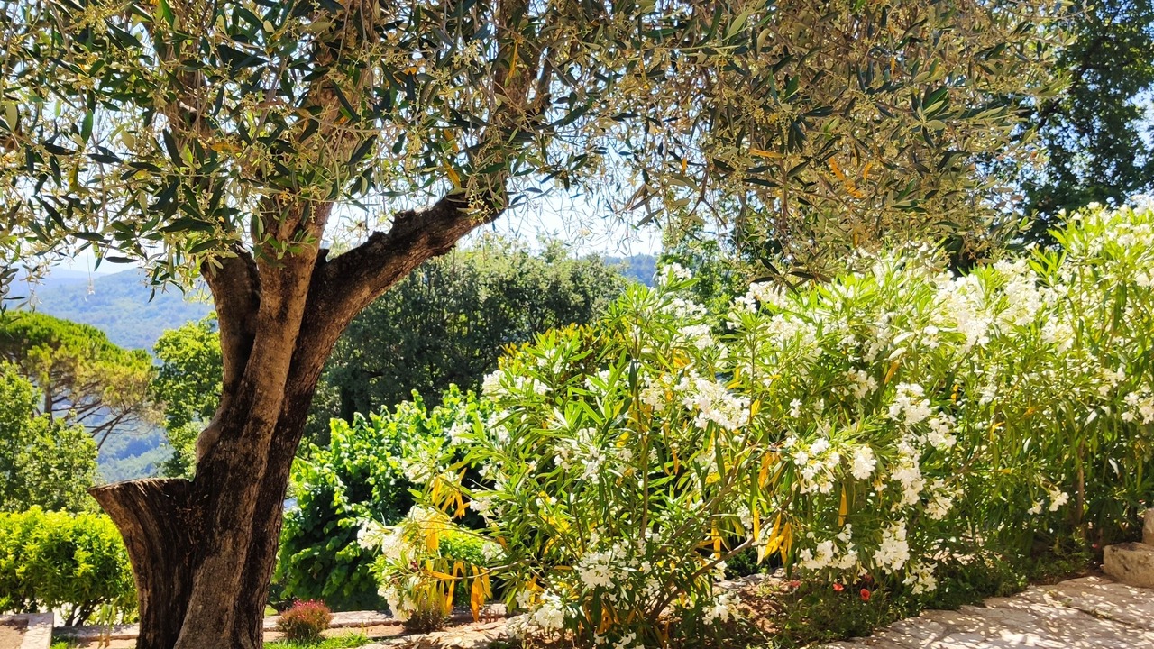 Photo of Outdoor in Le Bar-sur-Loup