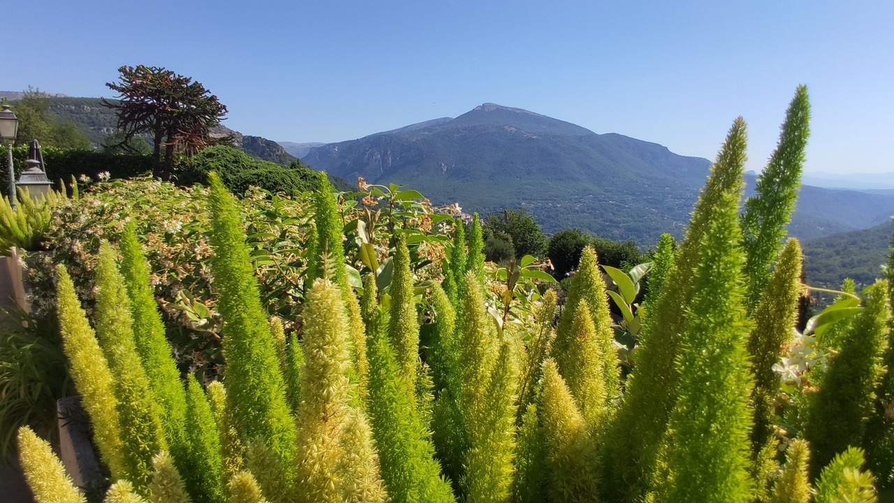 Photo of Outdoor in Le Bar-sur-Loup