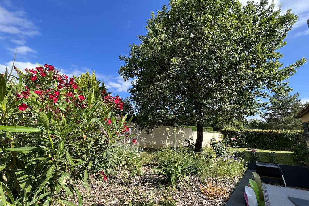 Photo of Outdoor in Leojac