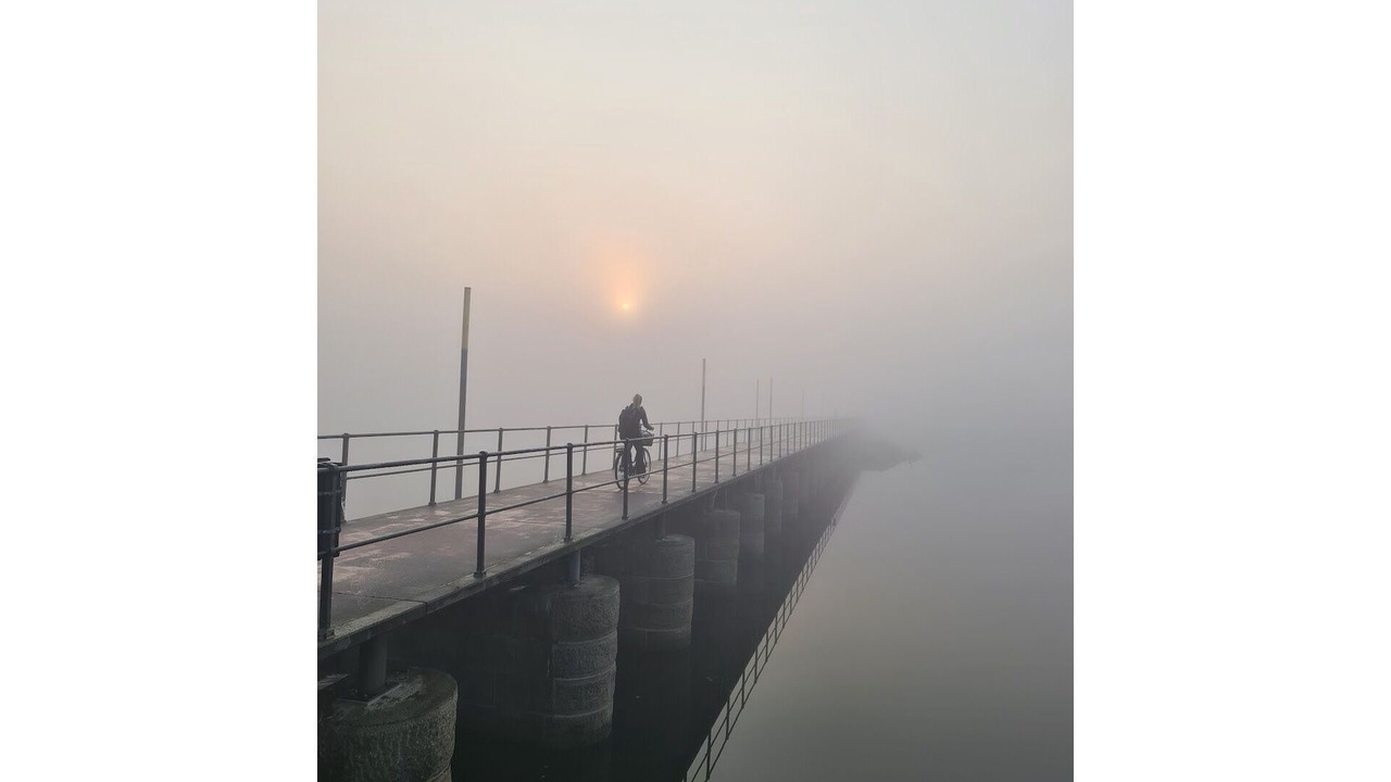 Photo of Others in Sydhavnen