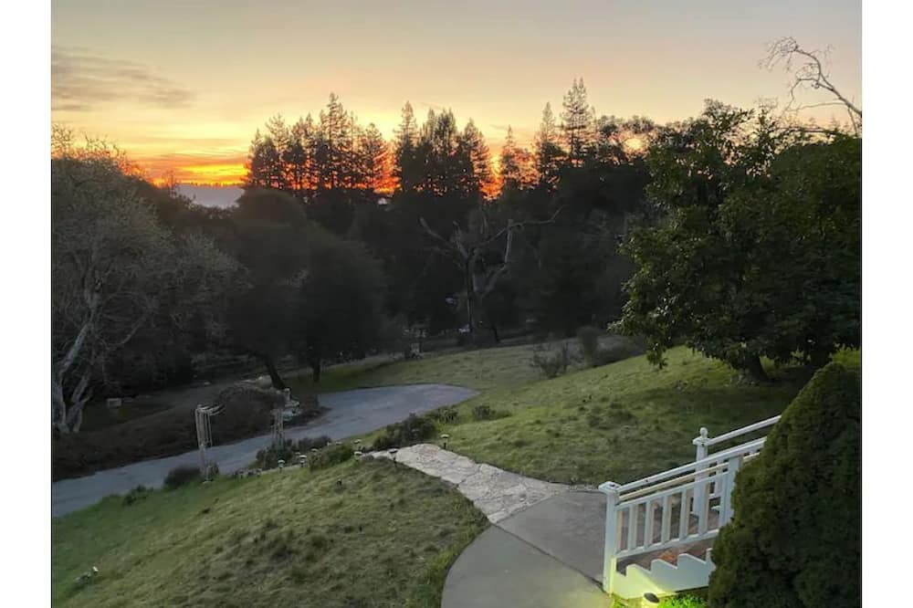 Photo of Outdoor in Felton