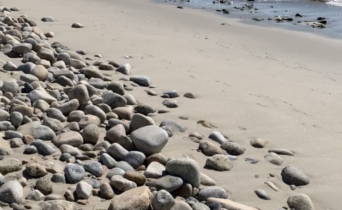 Photo of Others in Queensland