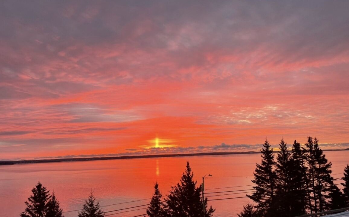 Photo of Others in Queensland