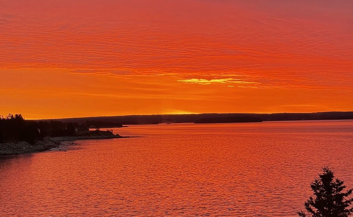 Photo of Others in Queensland