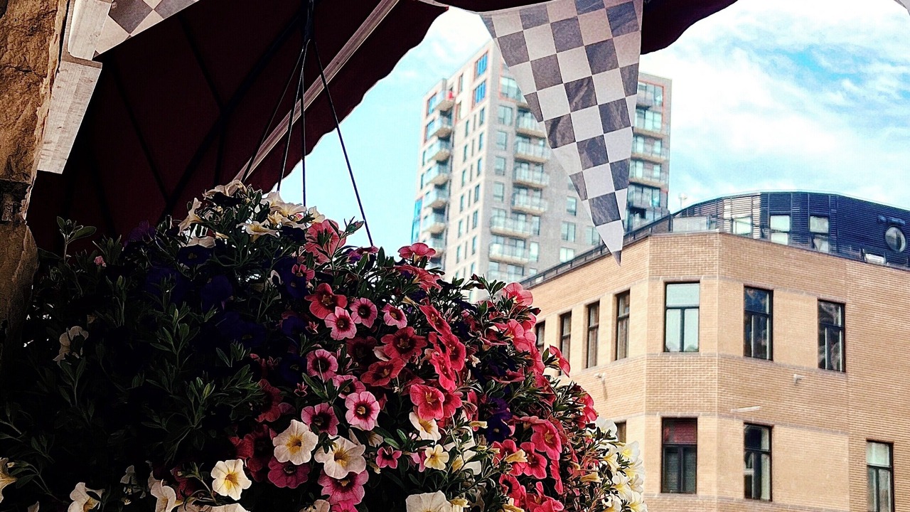 Photo of Outdoor in Gay Village